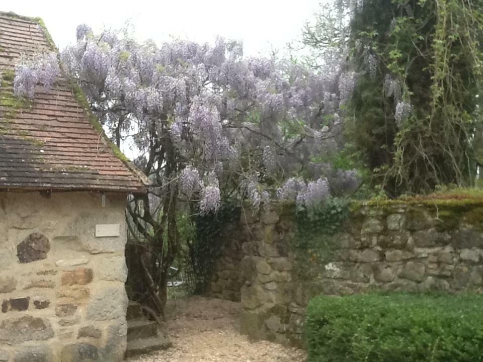 Domaine De Sautou Hotel Castanet  Luaran gambar